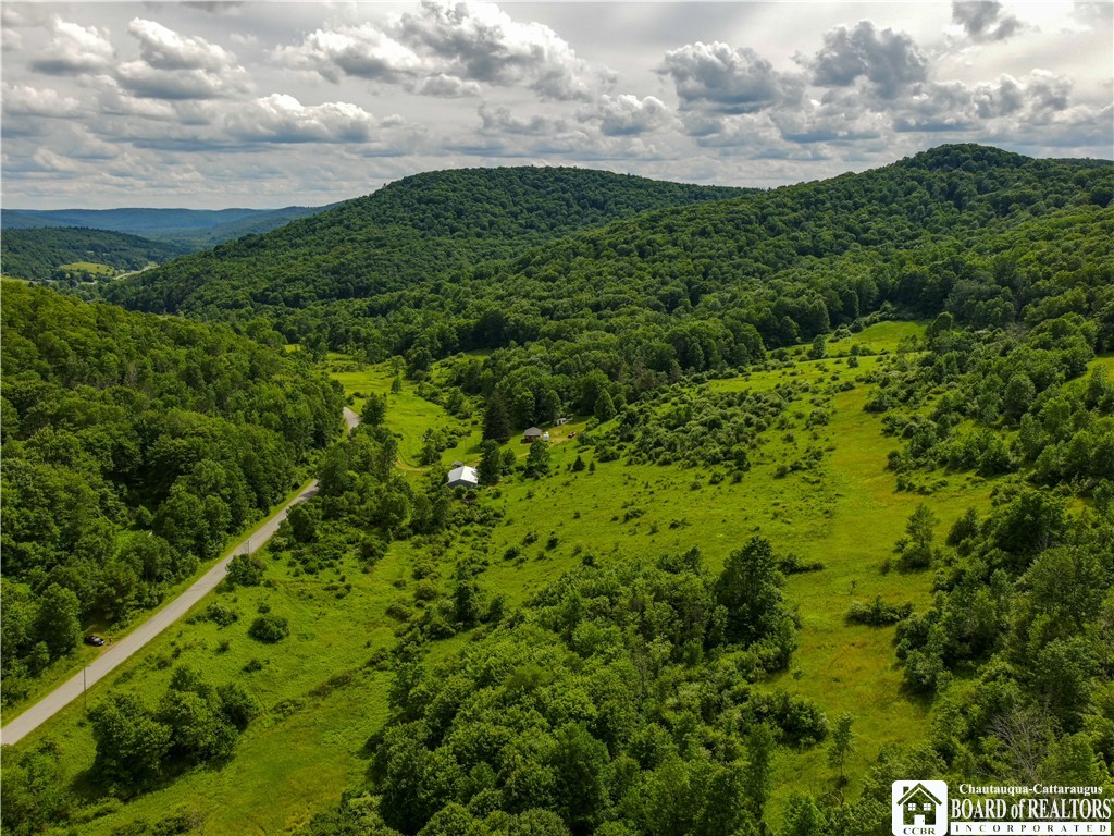 1605 Lillibridge Road Olean, NY 14760 - Photo 44 of 49