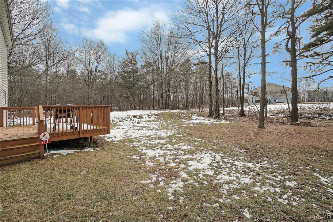3223 Willow Grove Road Pocono Summit, PA 18346 - Photo 37 of 43 Backyard
