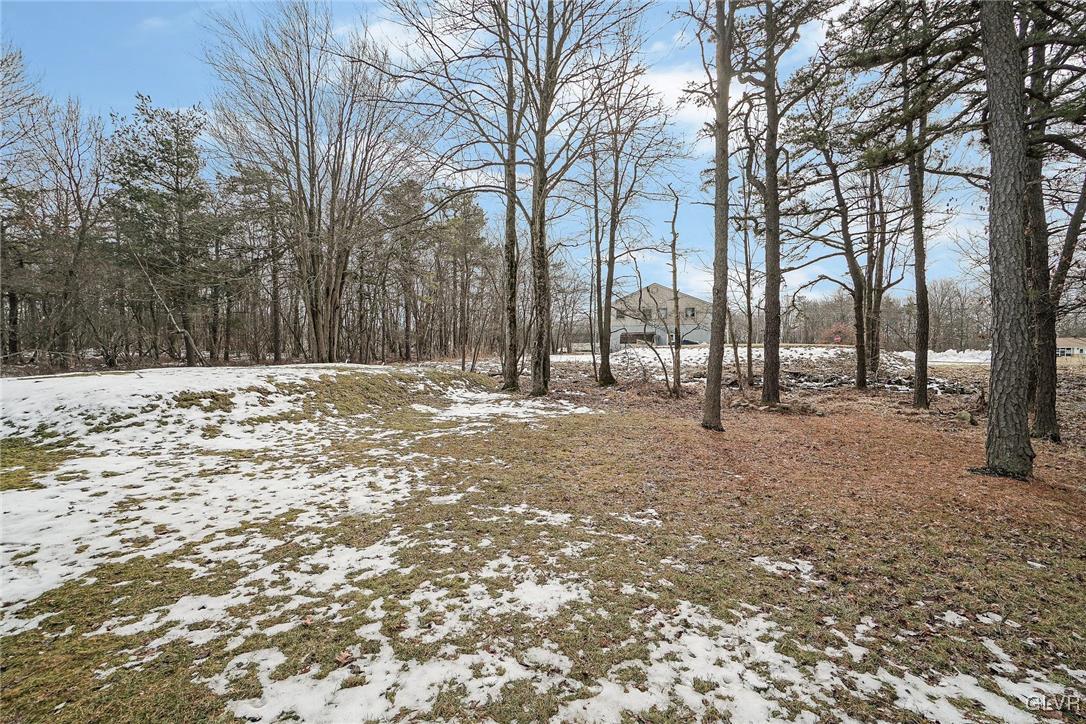 3223 Willow Grove Road Pocono Summit, PA 18346 - Photo 38 of 43 Yard