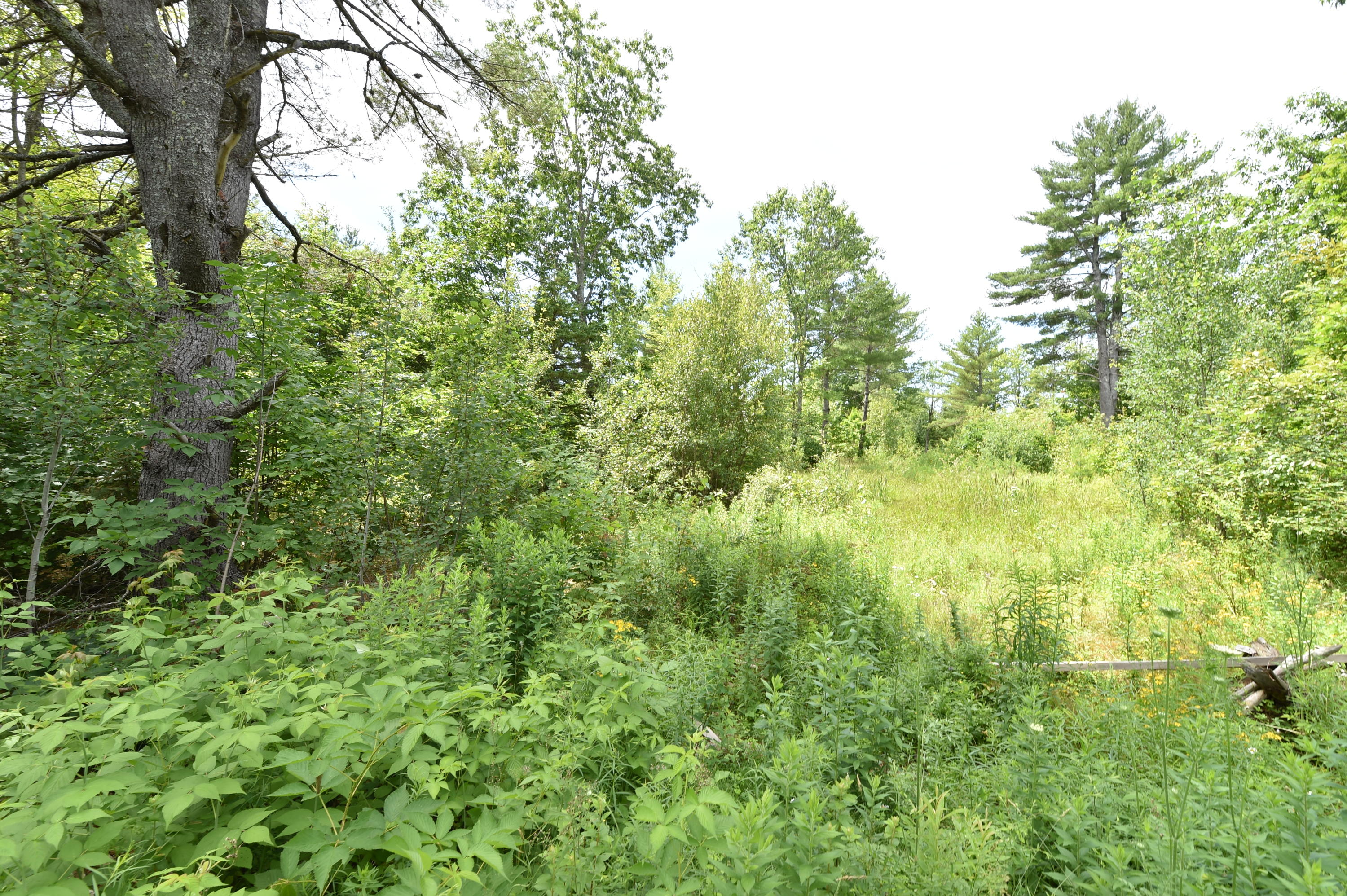 0 Dunham Road Etna, ME 04434 - Photo 6 of 17 DSC_9179