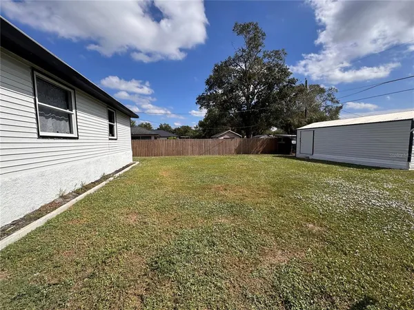 a view of a backyard with a large tree