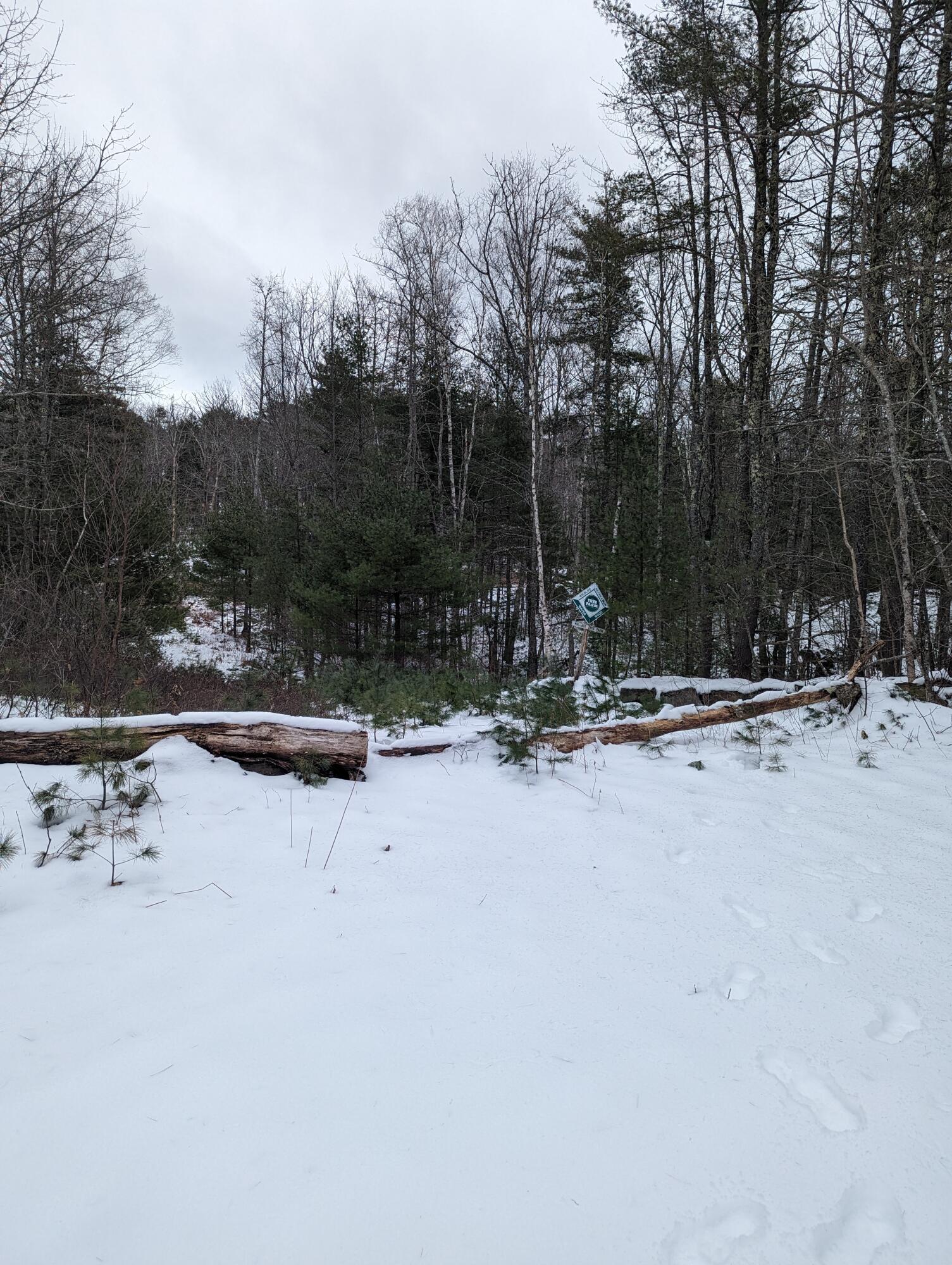 0 Barley Neck Road Woolwich, ME 04579 - Photo 3 of 5 Trees-3-26-2024