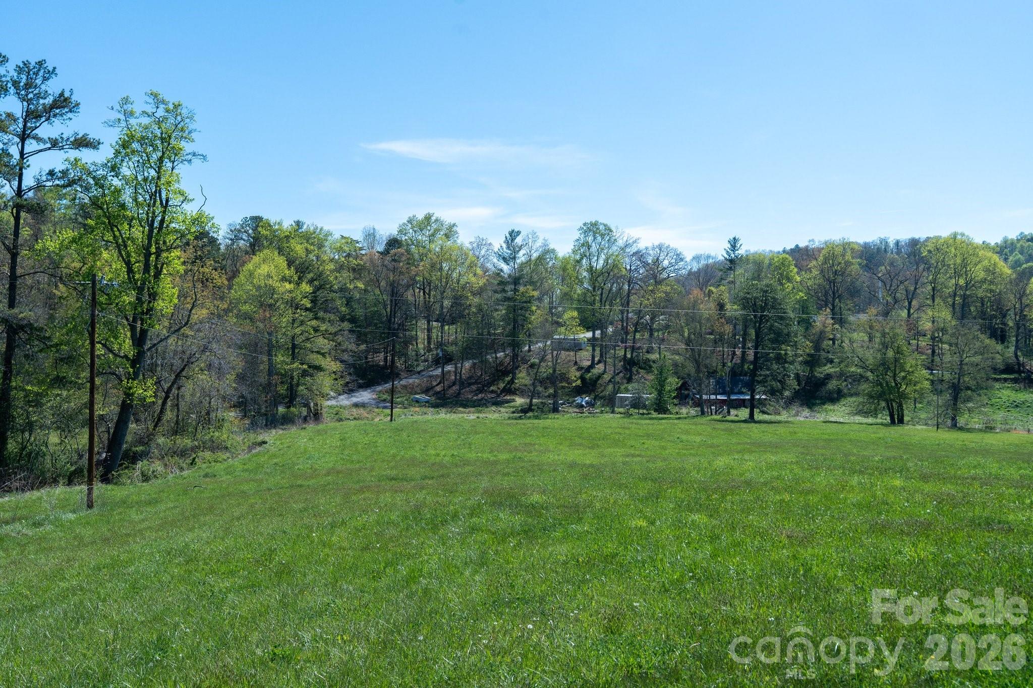 99999 Clarke Road Asheville, NC 28805 - Photo 11 of 20