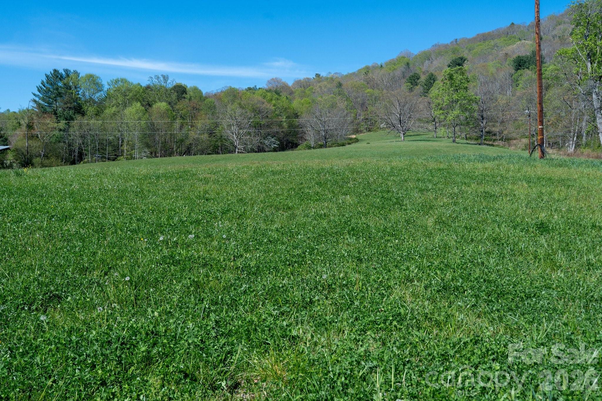 99999 Clarke Road Asheville, NC 28805 - Photo 12 of 20
