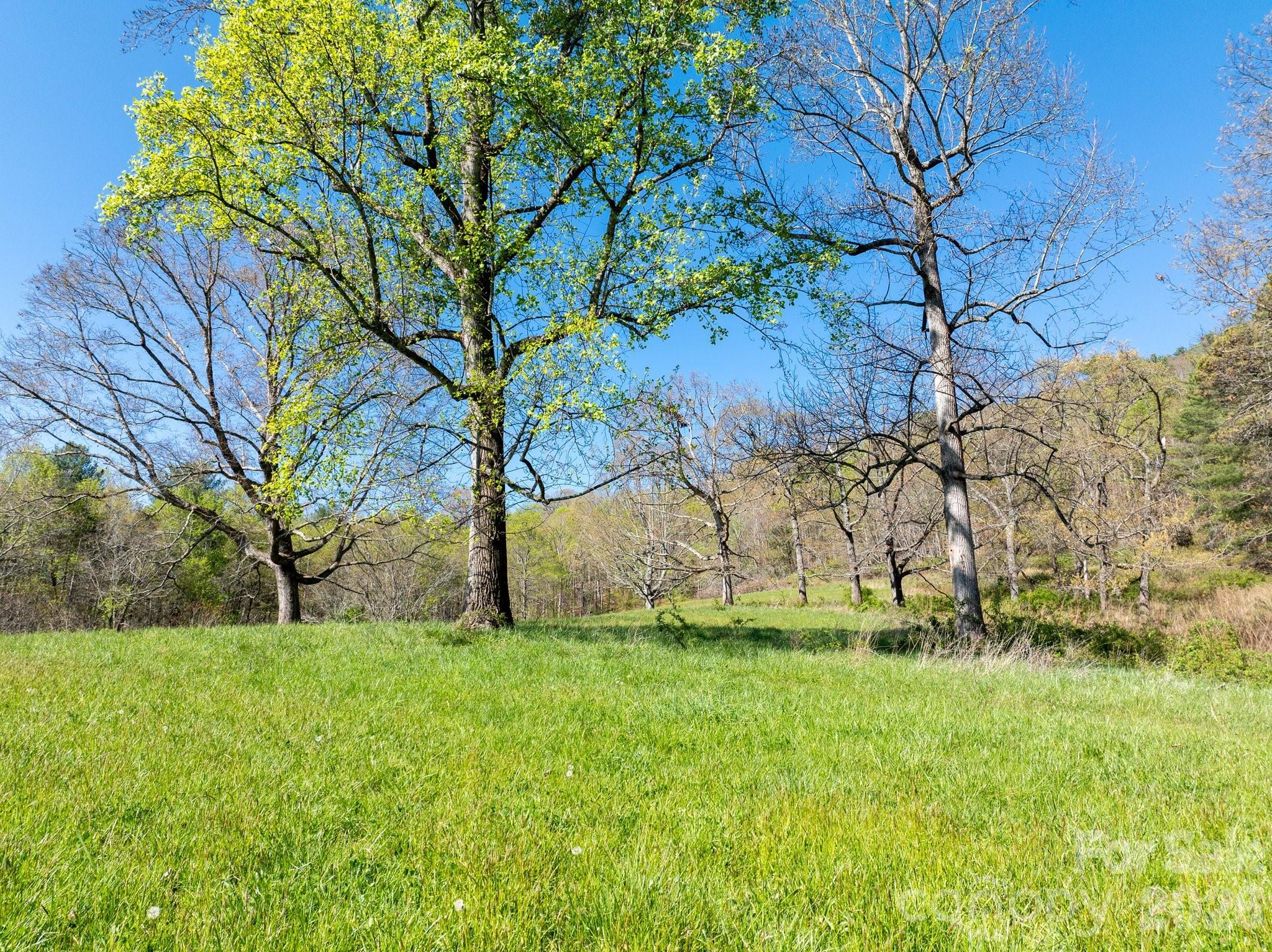 99999 Clarke Road Asheville, NC 28805 - Photo 13 of 20