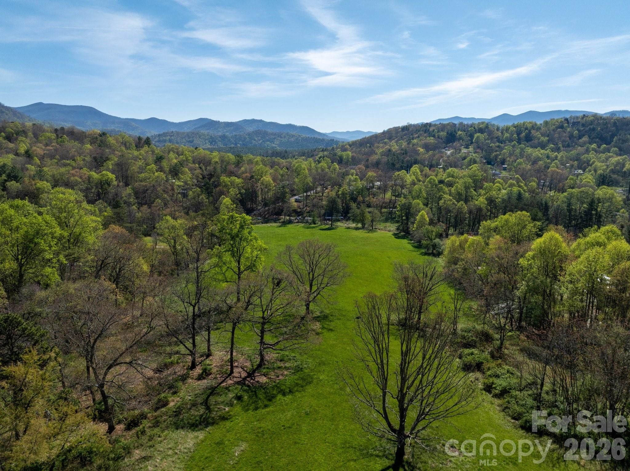 99999 Clarke Road Asheville, NC 28805 - Photo 14 of 20