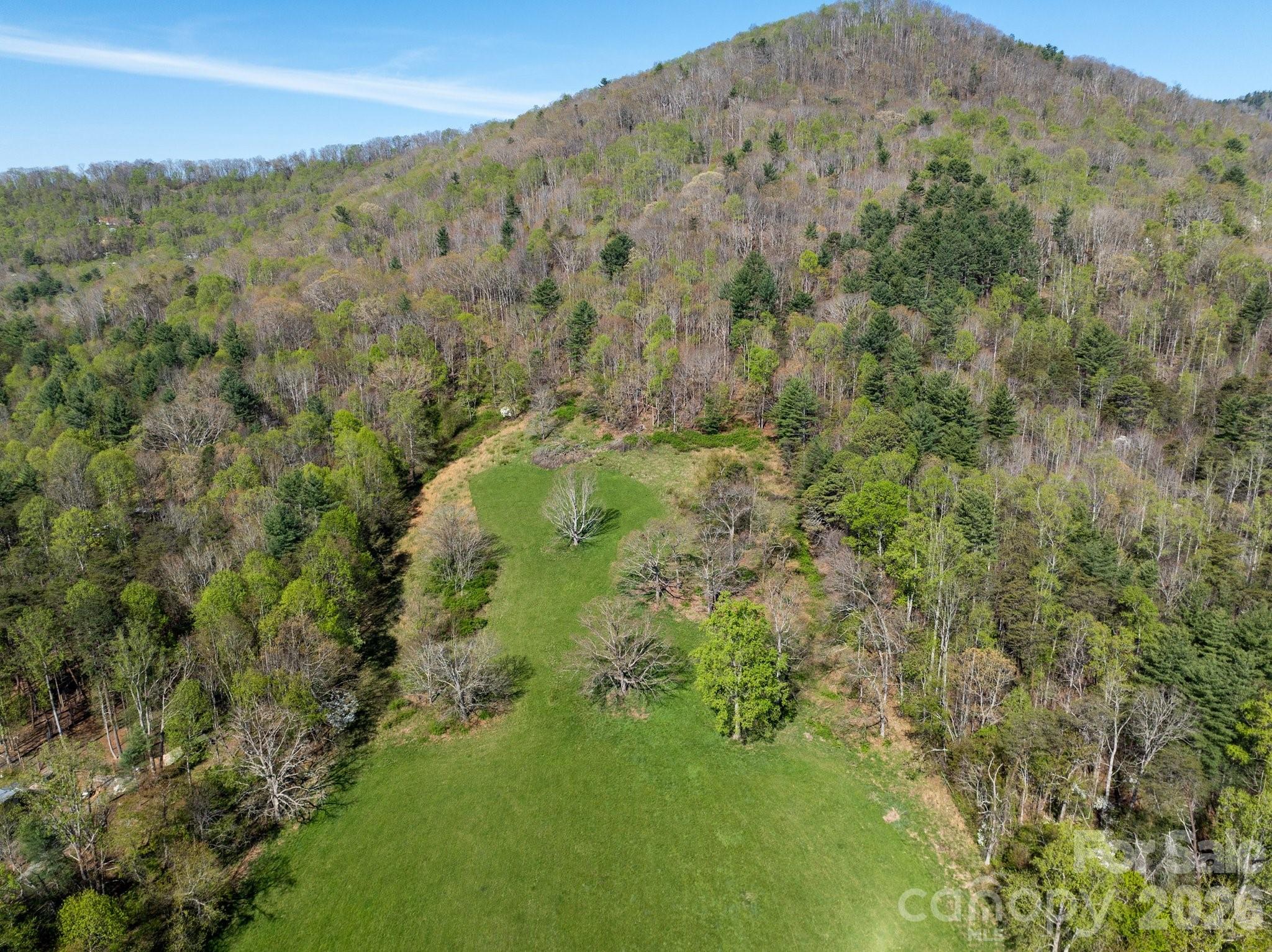 99999 Clarke Road Asheville, NC 28805 - Photo 15 of 20