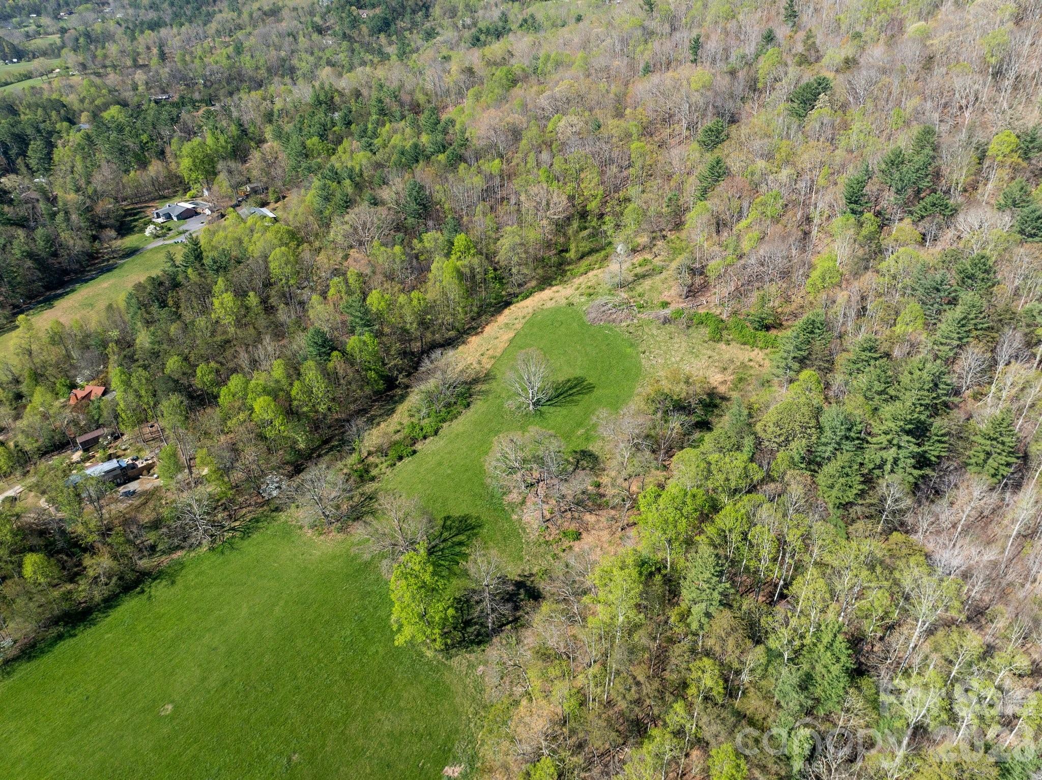 99999 Clarke Road Asheville, NC 28805 - Photo 16 of 20