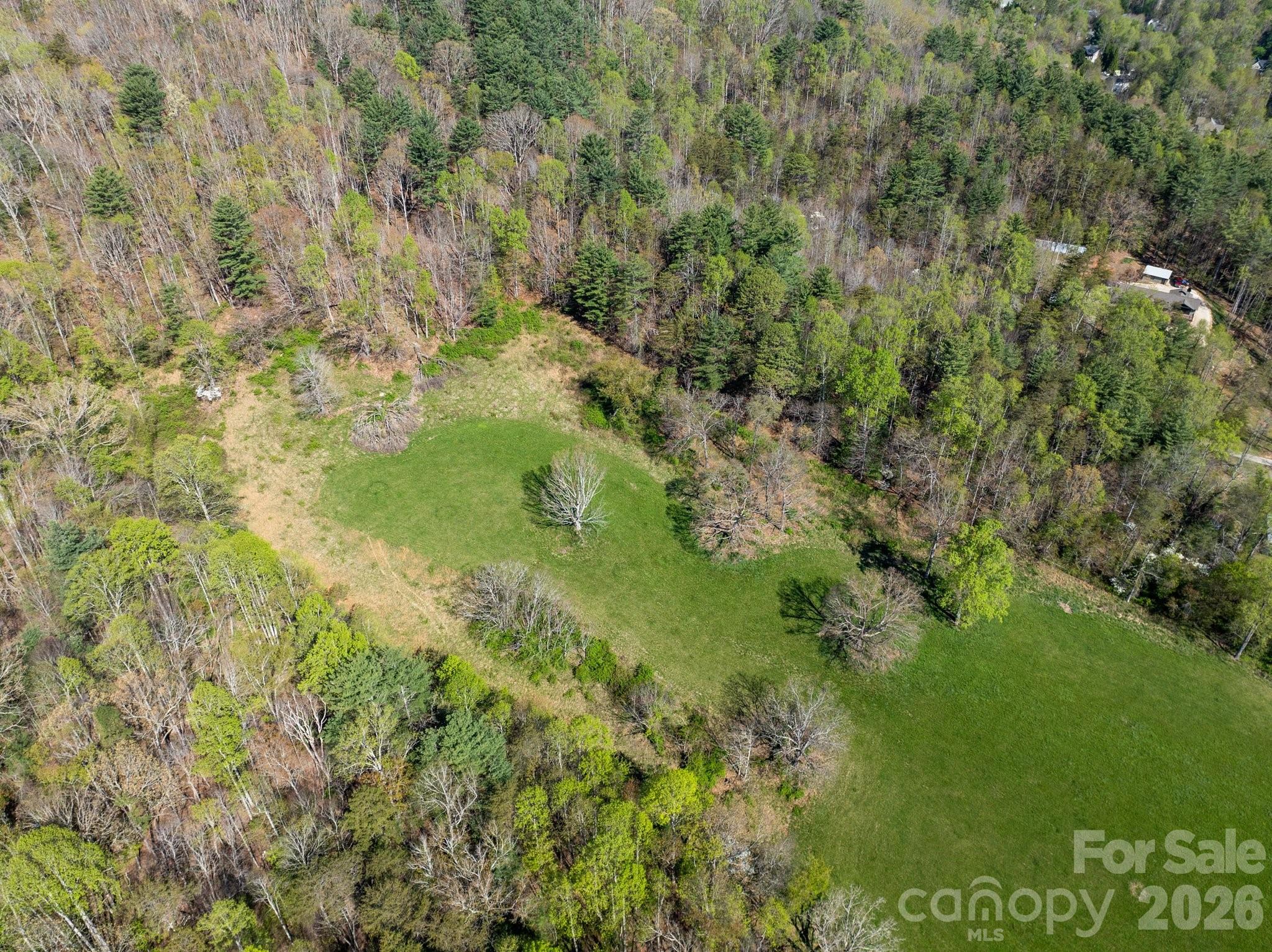 99999 Clarke Road Asheville, NC 28805 - Photo 17 of 20