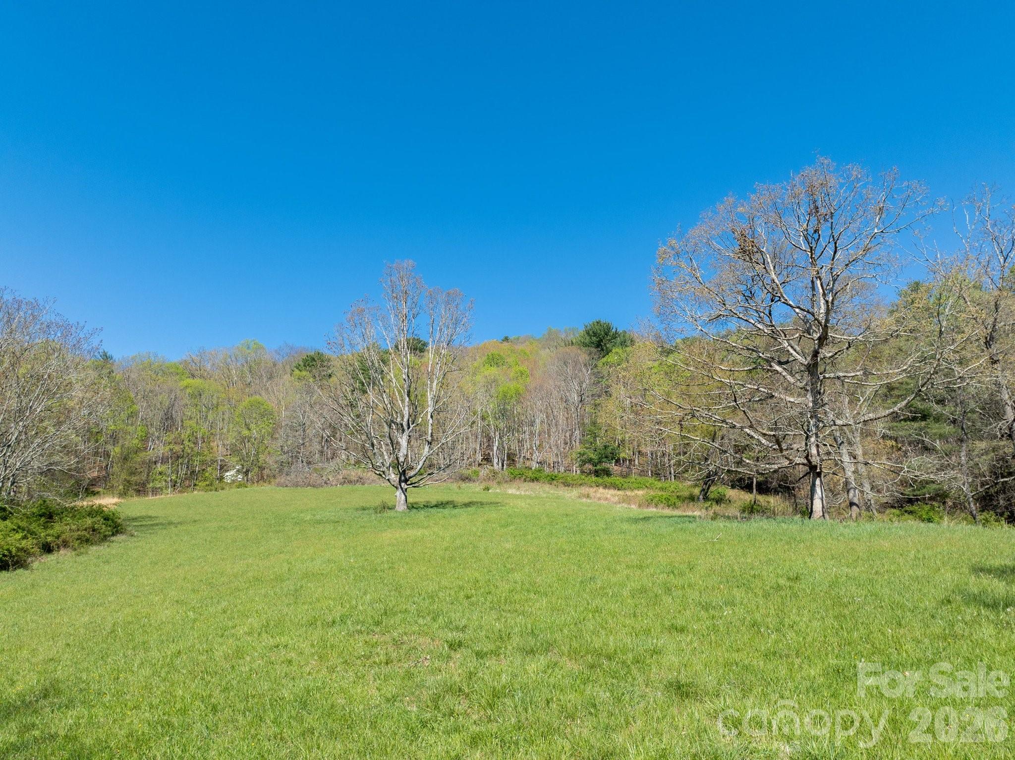 99999 Clarke Road Asheville, NC 28805 - Photo 2 of 20