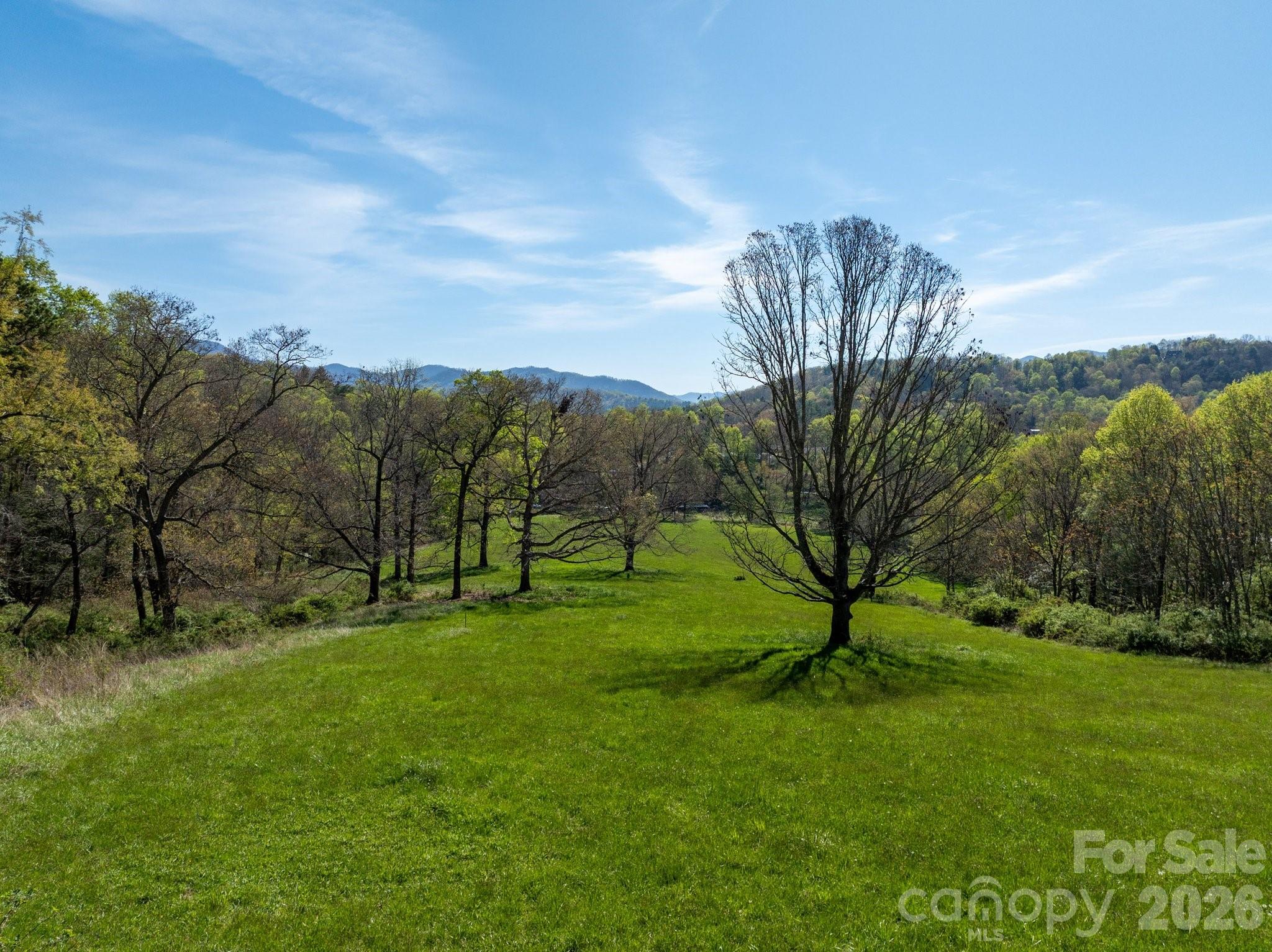 99999 Clarke Road Asheville, NC 28805 - Photo 3 of 20