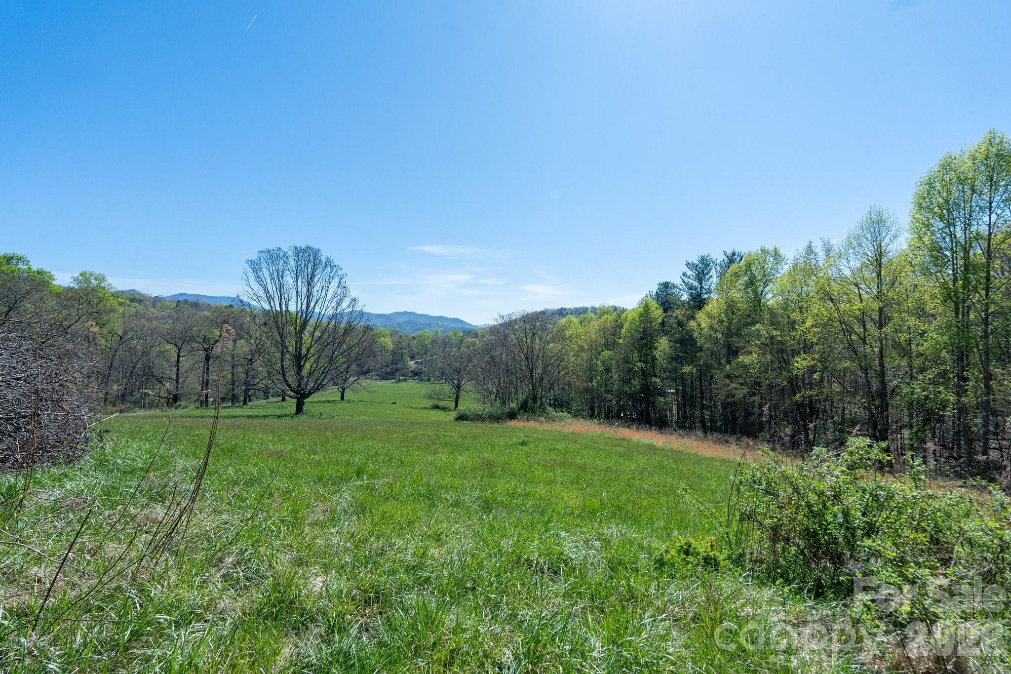 99999 Clarke Road Asheville, NC 28805 - Photo 4 of 20