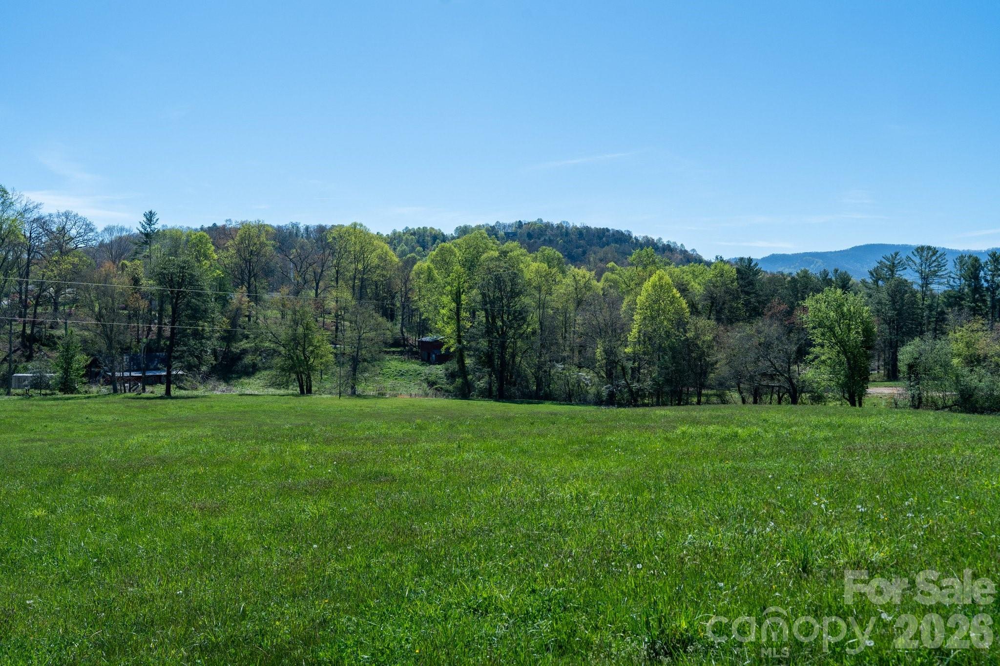 99999 Clarke Road Asheville, NC 28805 - Photo 5 of 20