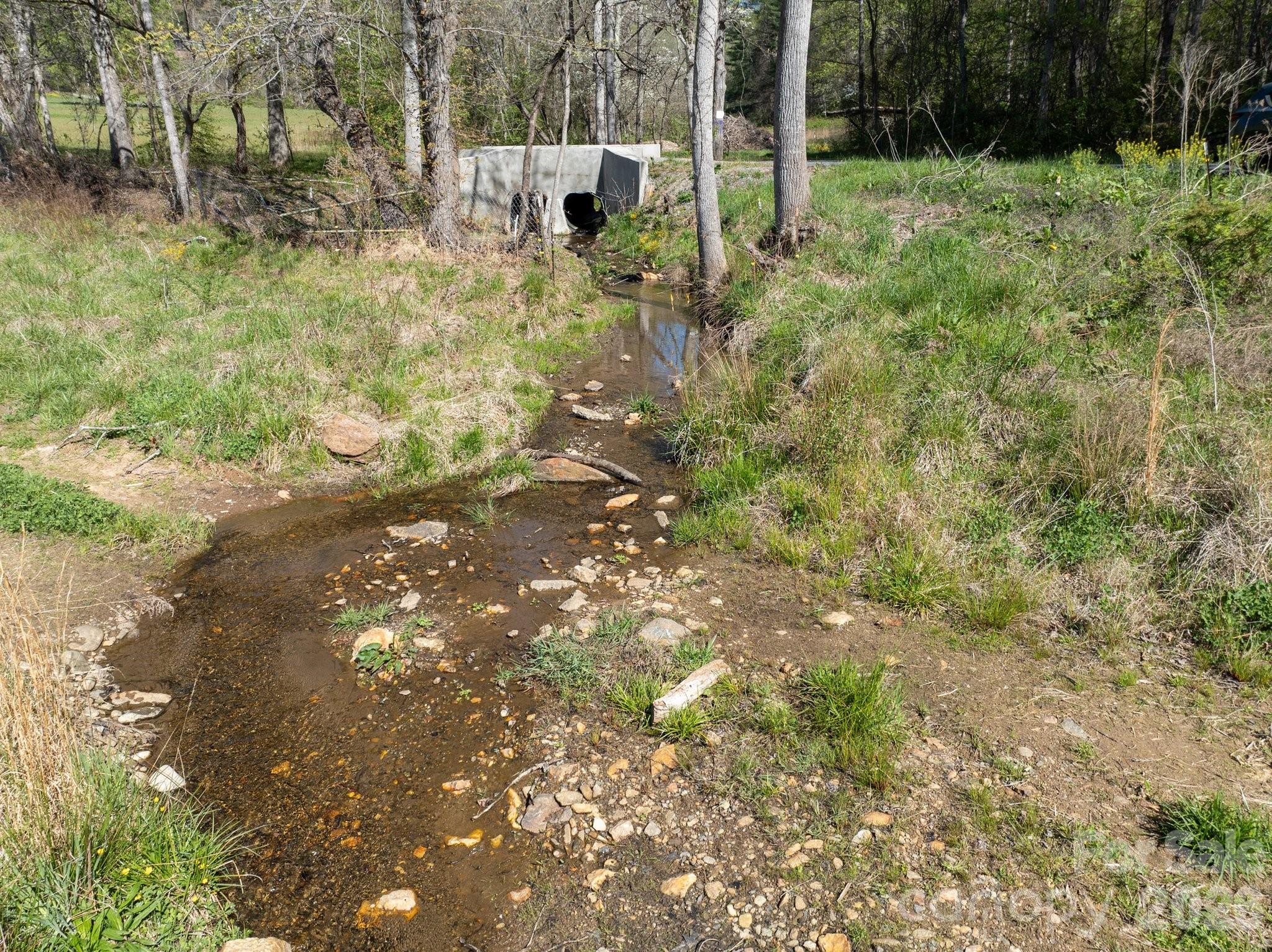 99999 Clarke Road Asheville, NC 28805 - Photo 6 of 20