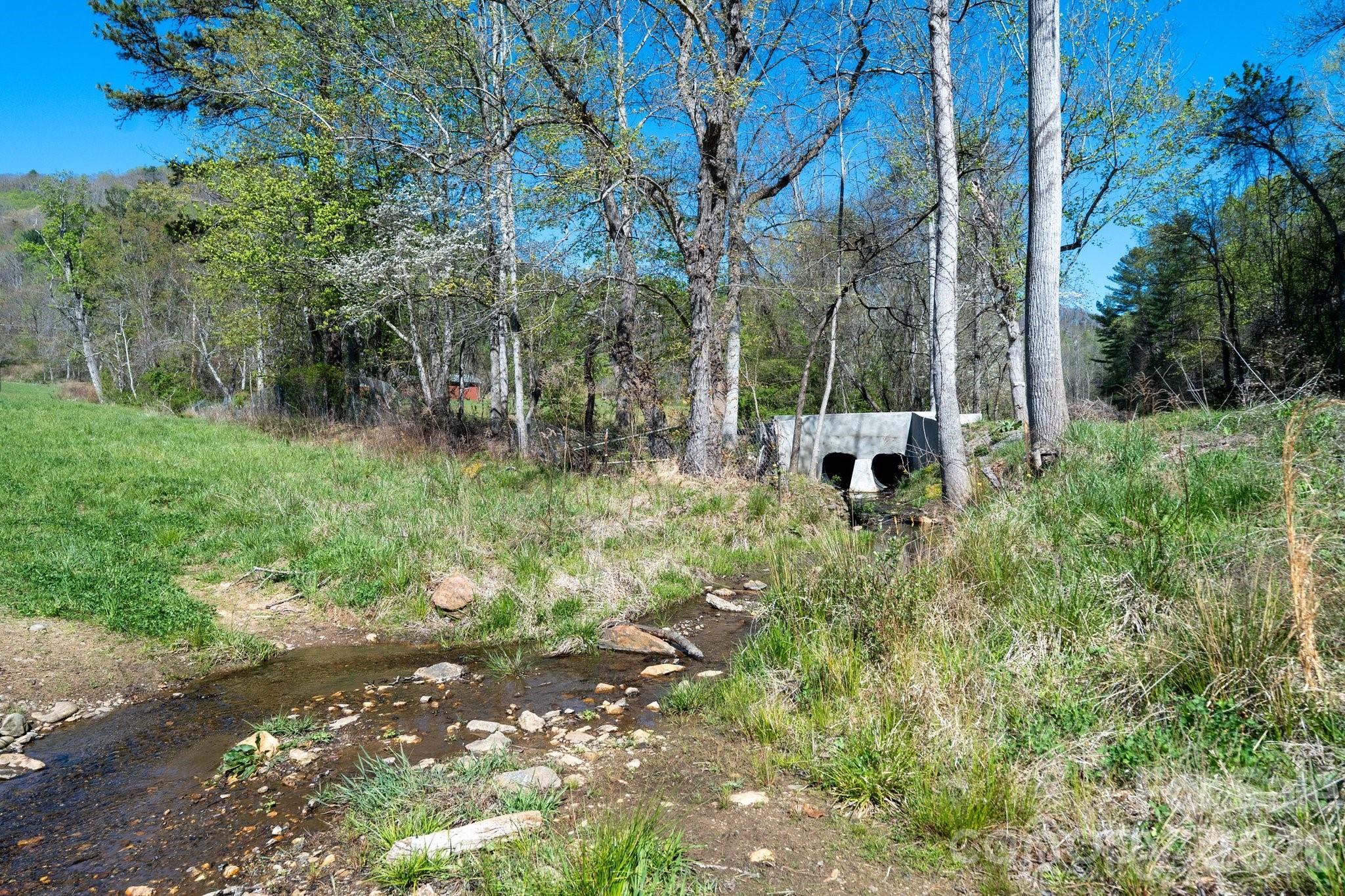 99999 Clarke Road Asheville, NC 28805 - Photo 7 of 20