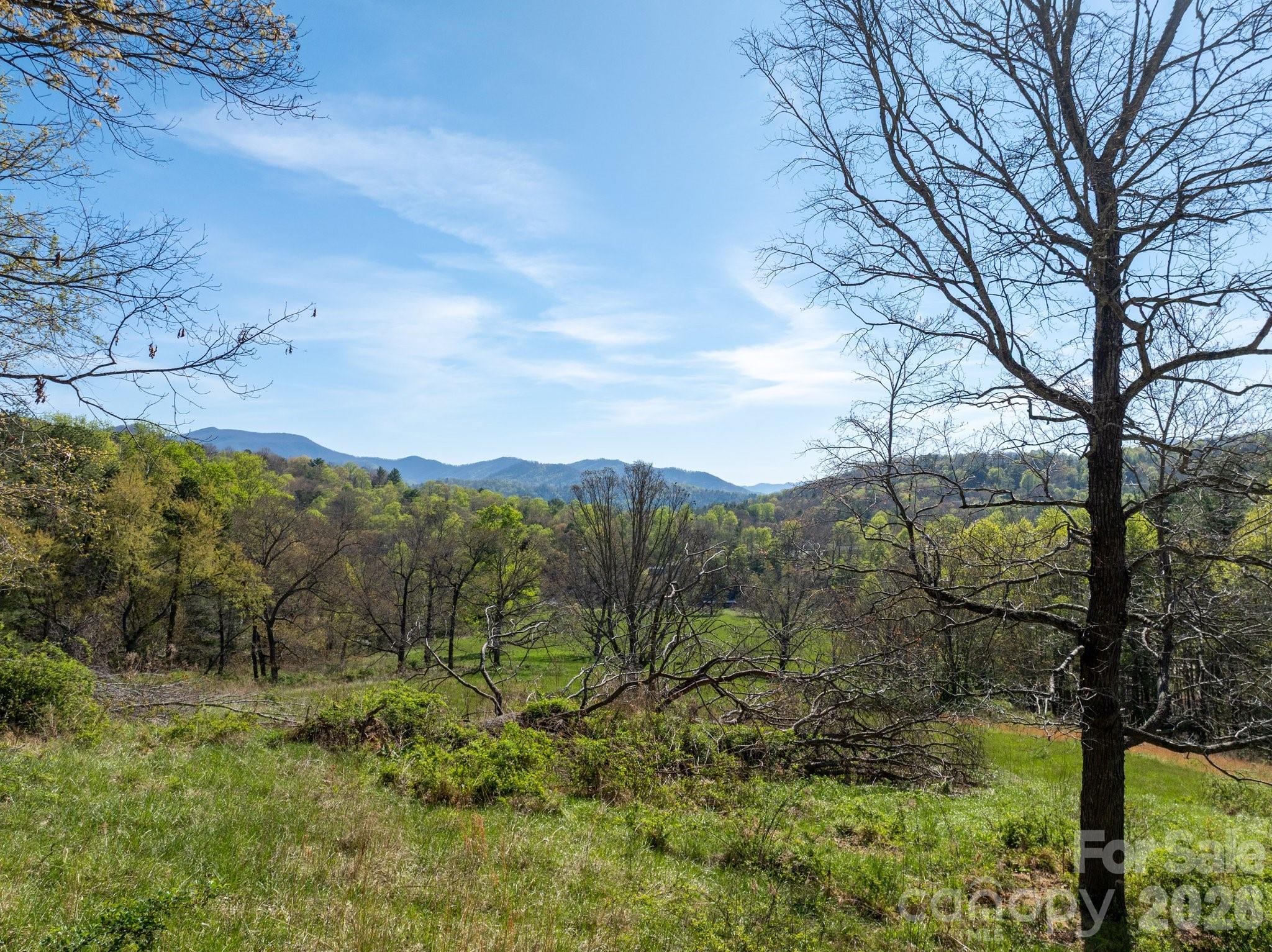 99999 Clarke Road Asheville, NC 28805 - Photo 8 of 20