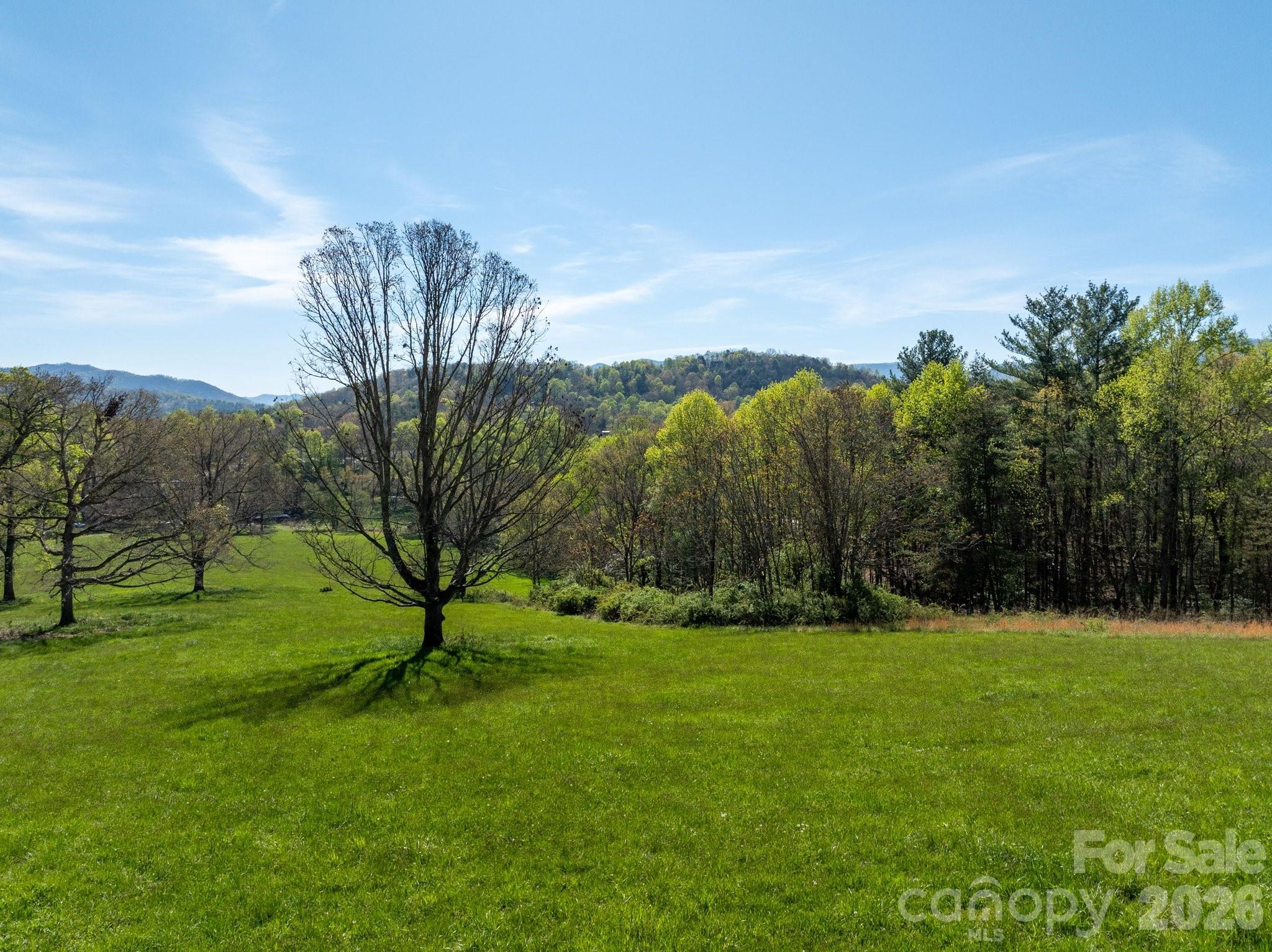 99999 Clarke Road Asheville, NC 28805 - Photo 9 of 20