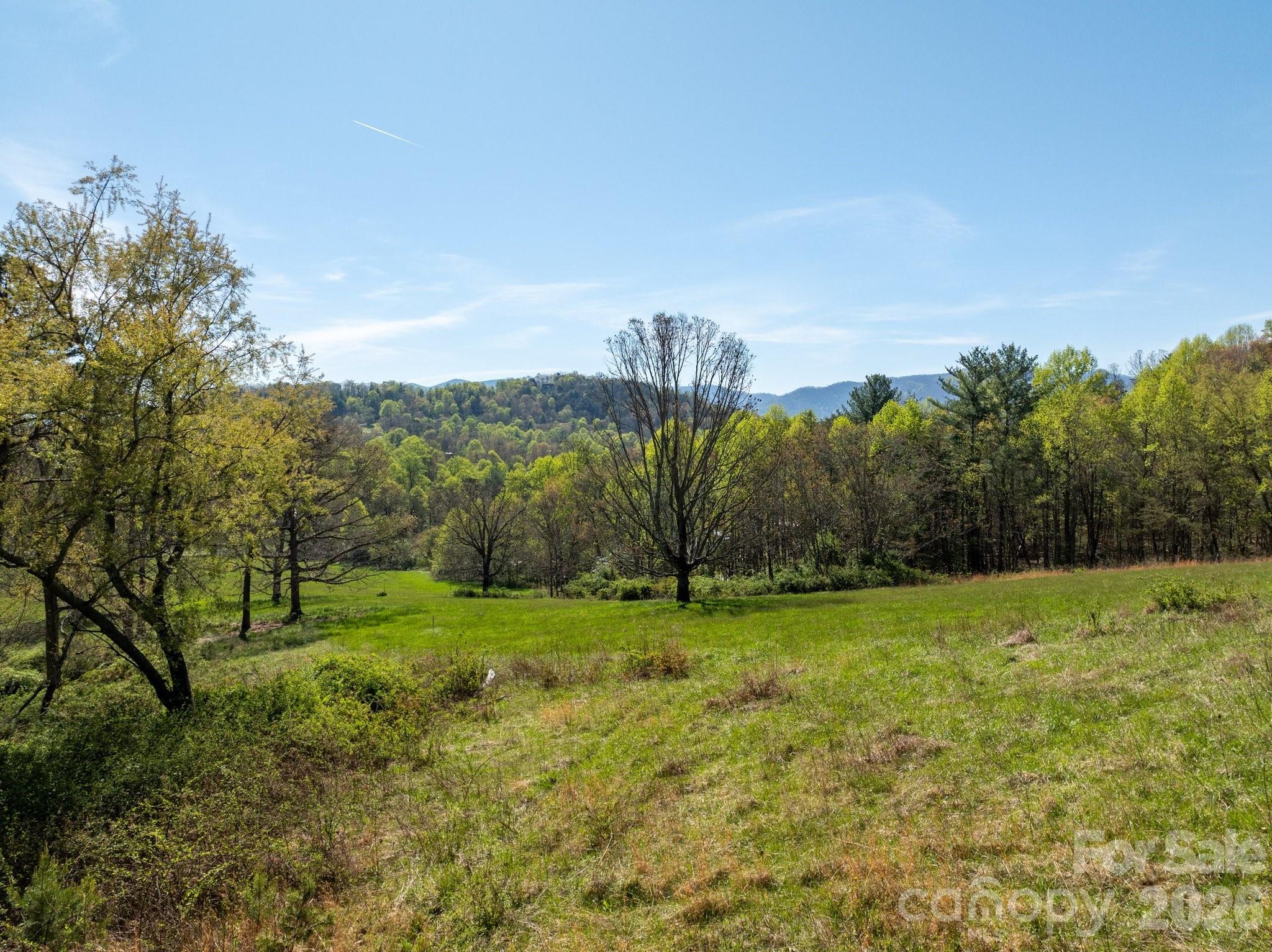 99999 Clarke Road Asheville, NC 28805 - Photo 10 of 20