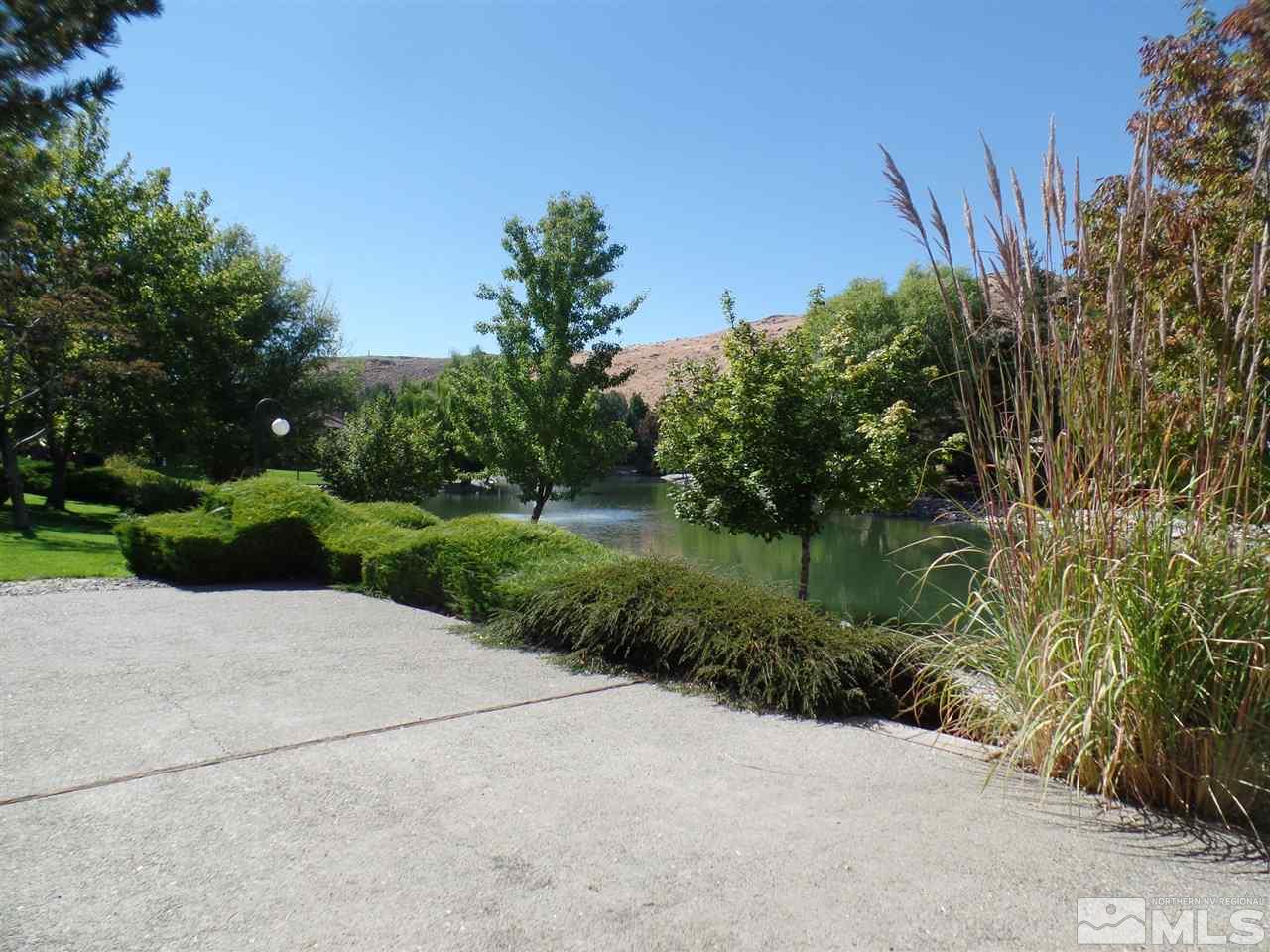 4597 Reggie Road Reno, NV 89502 - Photo 4 of 9 a view of a garden with a lake