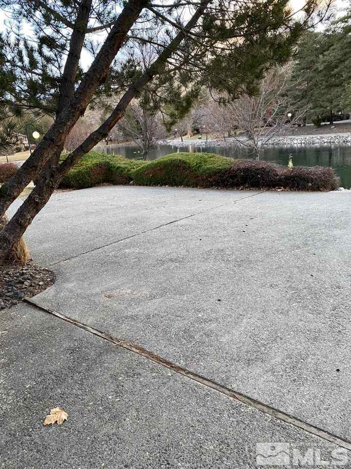 4597 Reggie Road Reno, NV 89502 - Photo 6 of 9 a view of lake with green field