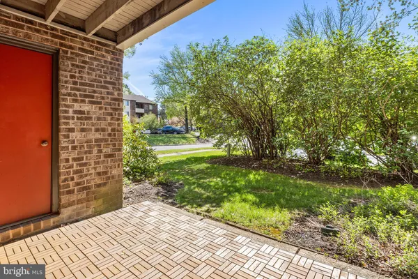 a view of a backyard with pathway