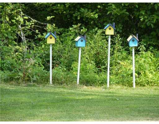 107 Huddle Road New Harbor, ME 04554 - Photo 23 of 23 Yard/Garden.