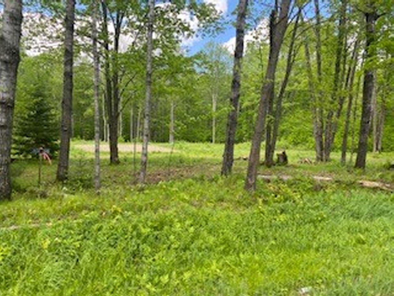 5105 Lake Winter Road Winter, WI 54896 - Photo 4 of 16 Gallery Image 4