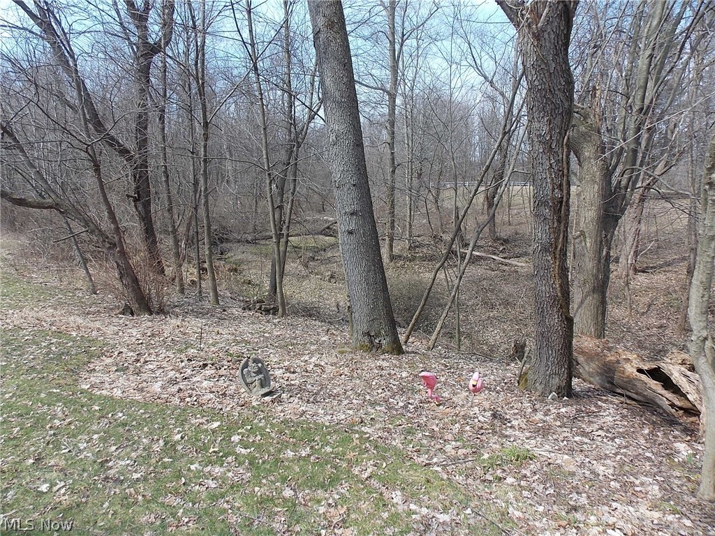 8956 River Styx Road Wadsworth, OH 44281 - Photo 20 of 24