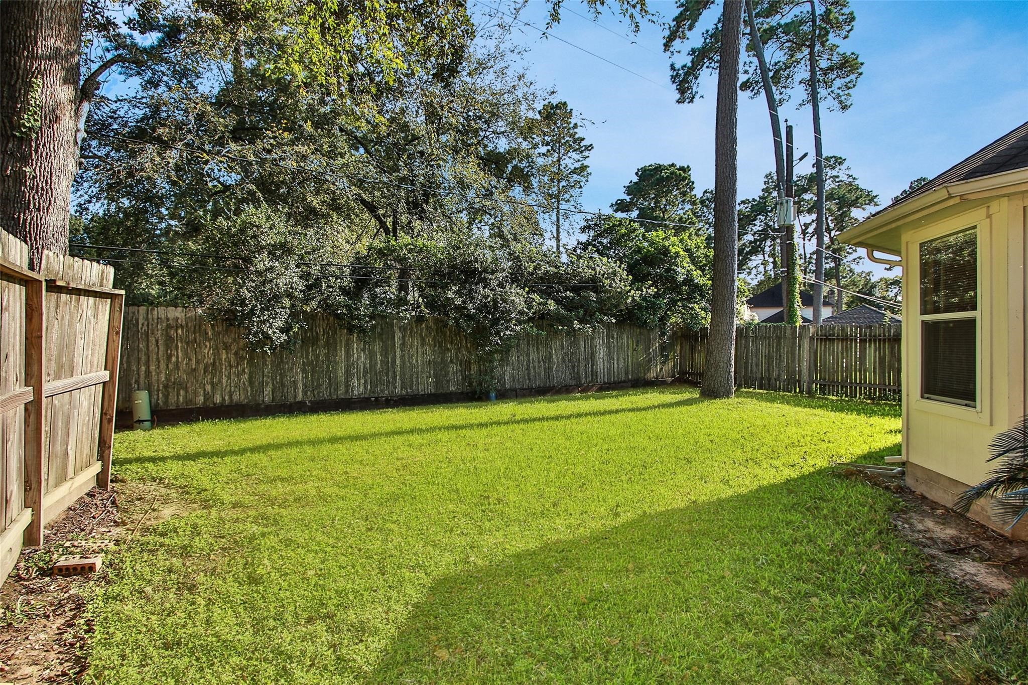 3415 Candlepine Drive Spring, TX 77388 - Photo 18 of 23 a backyard of a house with lots of plants and tree