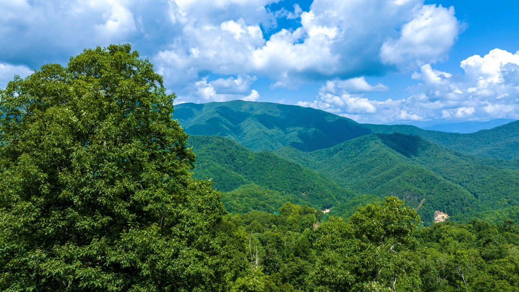 235 Rios Drive Bryson City, NC 28713 - Photo 3 of 29
