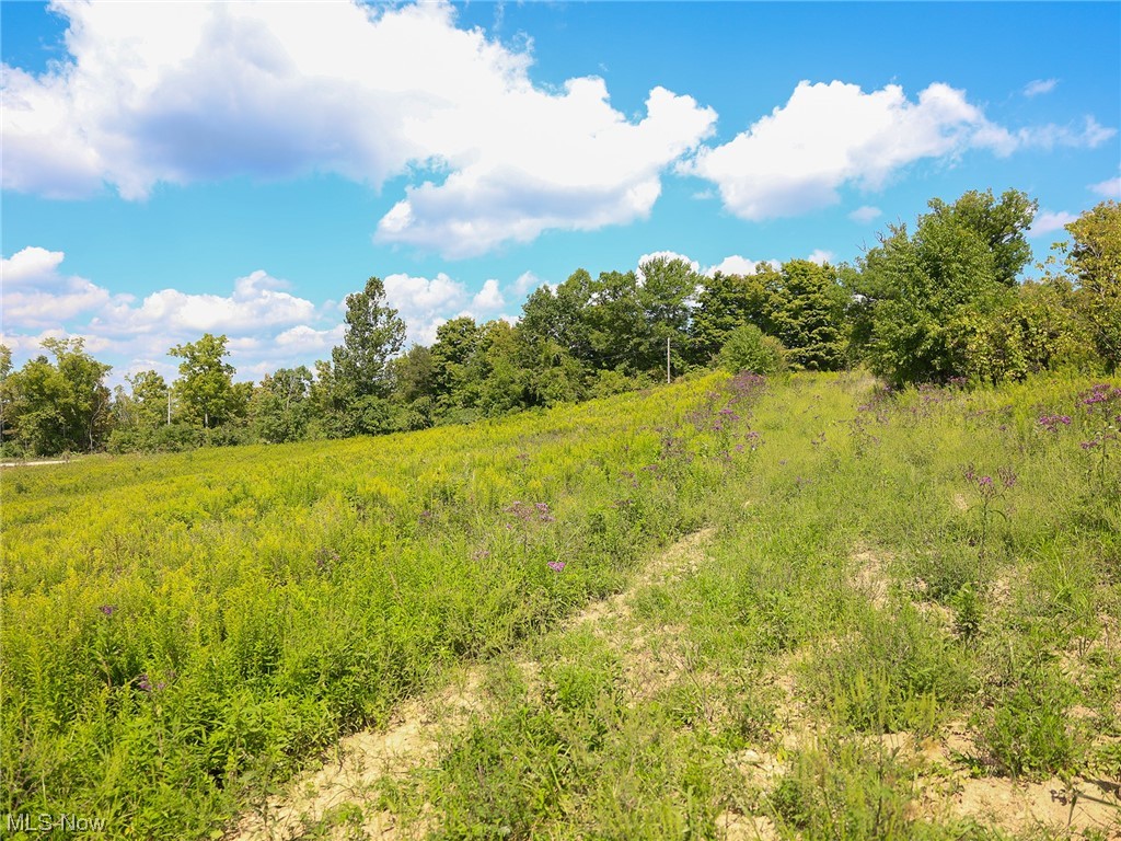 3429 Dixon Ridge Road Lowell, OH 45744 - Photo 26 of 35
