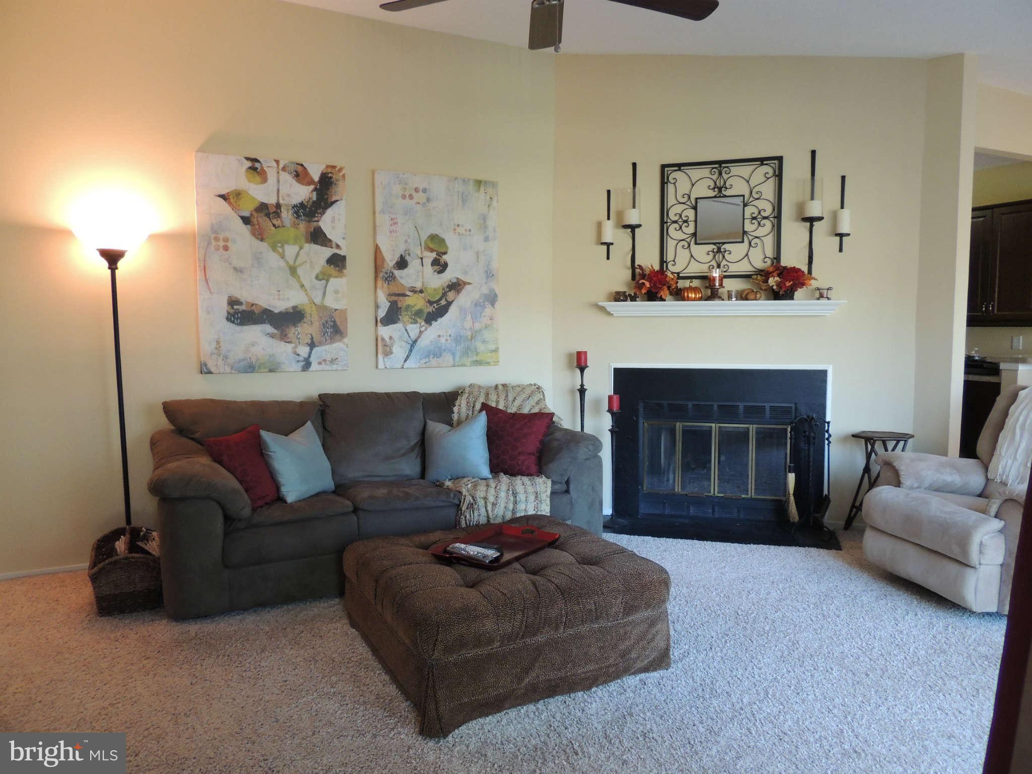 11033 Villaridge Court, Unit B Reston, VA 20191 - Photo 3 of 25 a living room with furniture and a fireplace