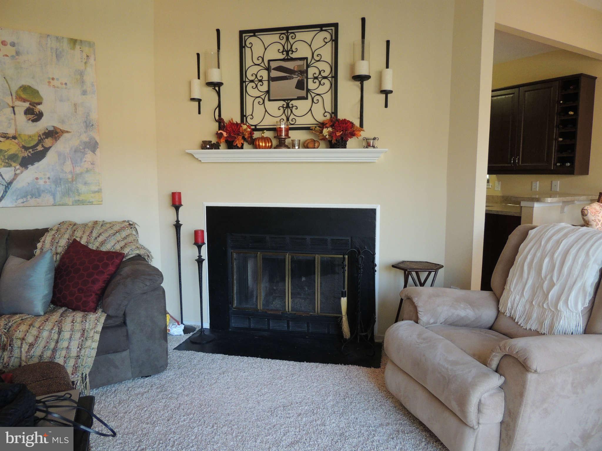 11033 Villaridge Court, Unit B Reston, VA 20191 - Photo 5 of 25 a living room with furniture and a fireplace