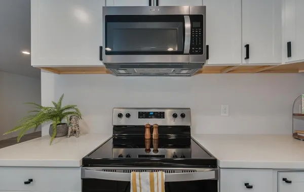 a kitchen with a stove and a potted plant