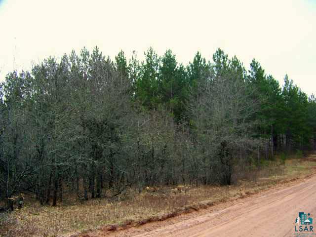 Lot 41 South Apple Lake Road Minong, WI 54859 - Photo 1 of 2 Gallery Image 1