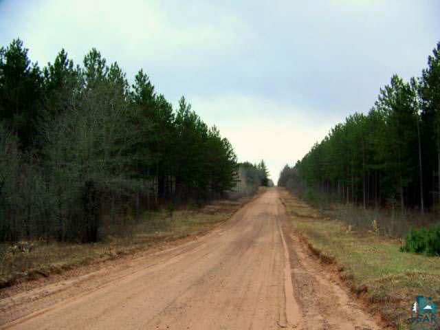 Lot 41 South Apple Lake Road Minong, WI 54859 - Photo 2 of 2 Gallery Image 2