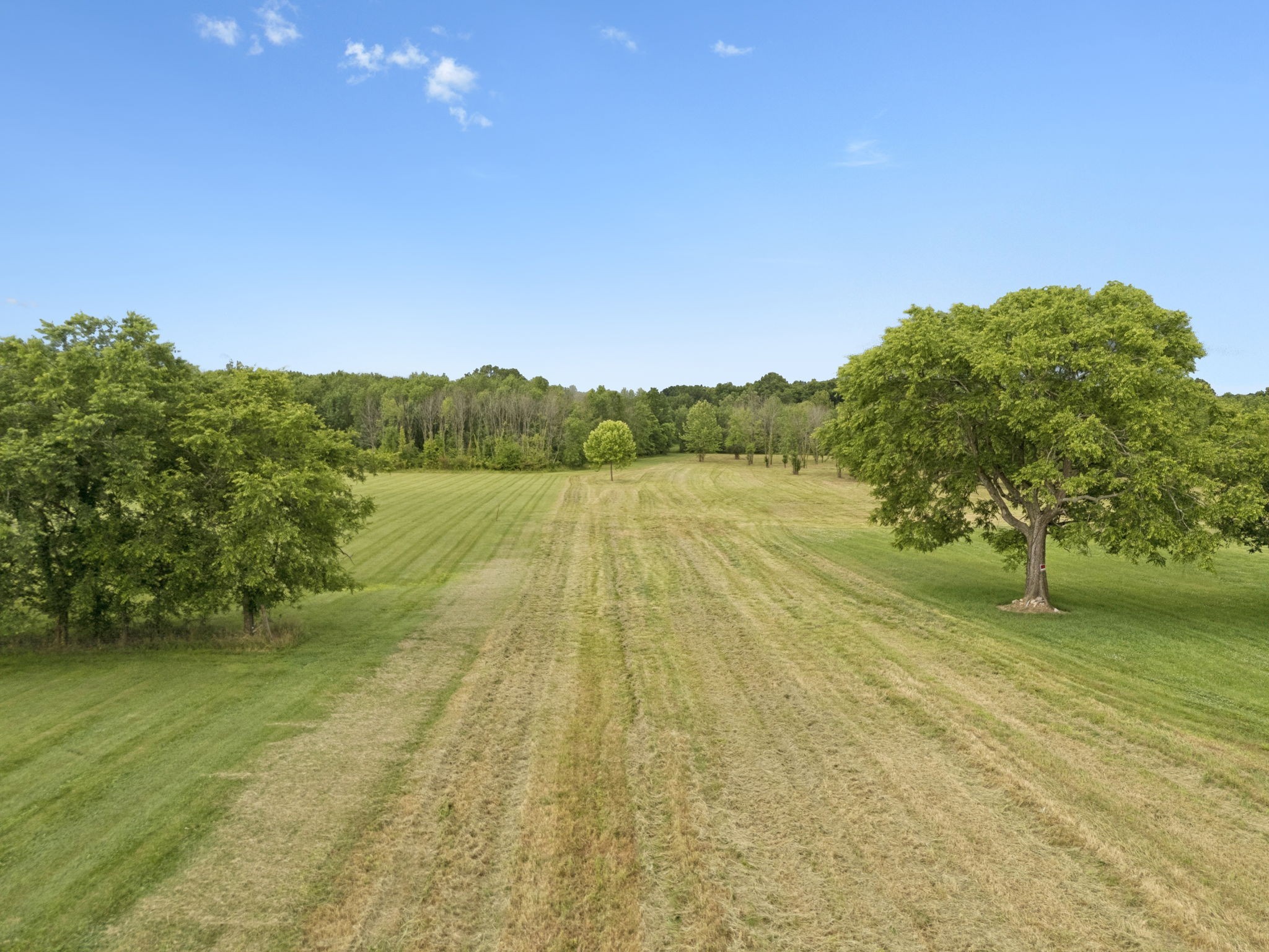 0 Trice Road Lebanon, TN 37087 - Photo 15 of 36 Gallery Image 15