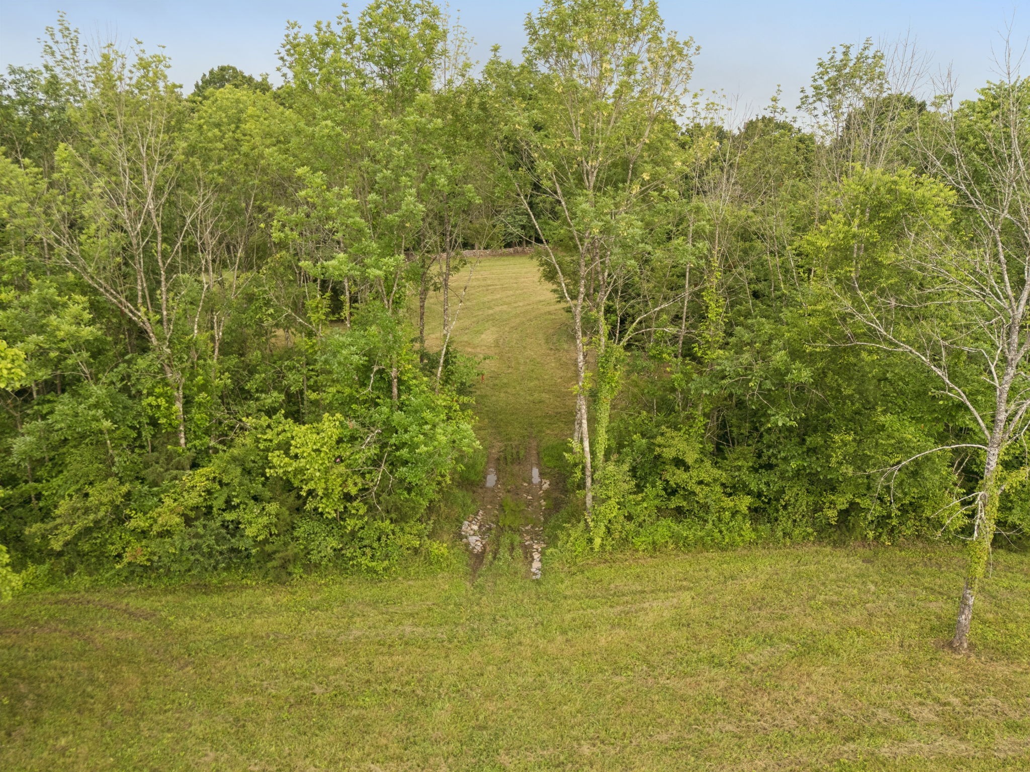 0 Trice Road Lebanon, TN 37087 - Photo 16 of 36 Gallery Image 16