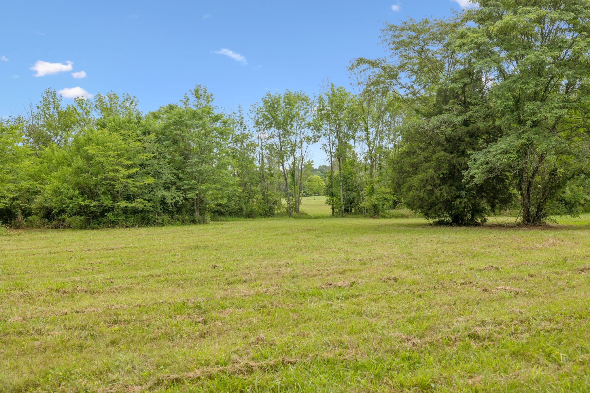 0 Trice Road Lebanon, TN 37087 - Photo 21 of 36 Gallery Image 21