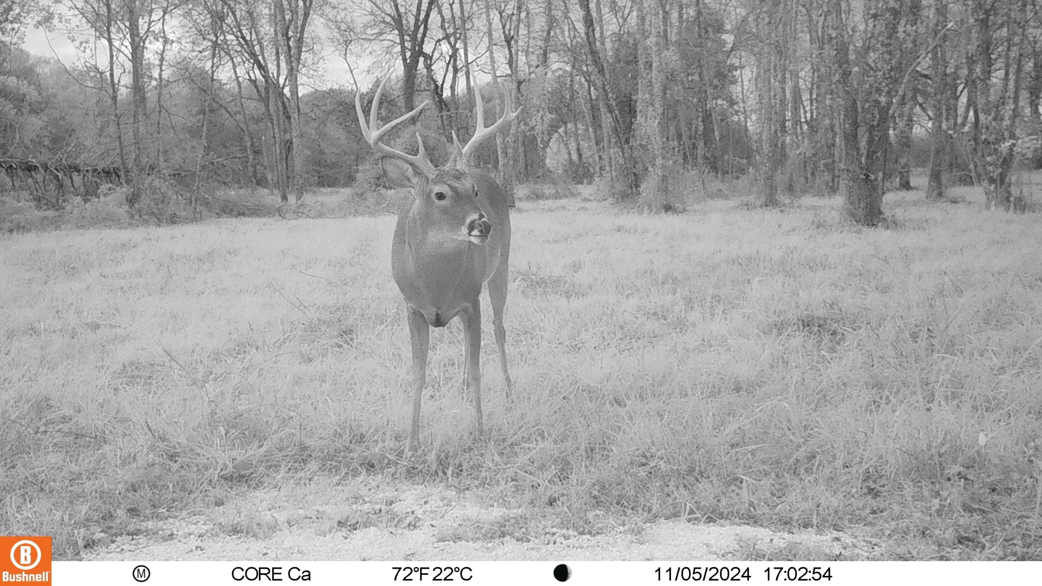0 Trice Road Lebanon, TN 37087 - Photo 32 of 36 Gallery Image 32