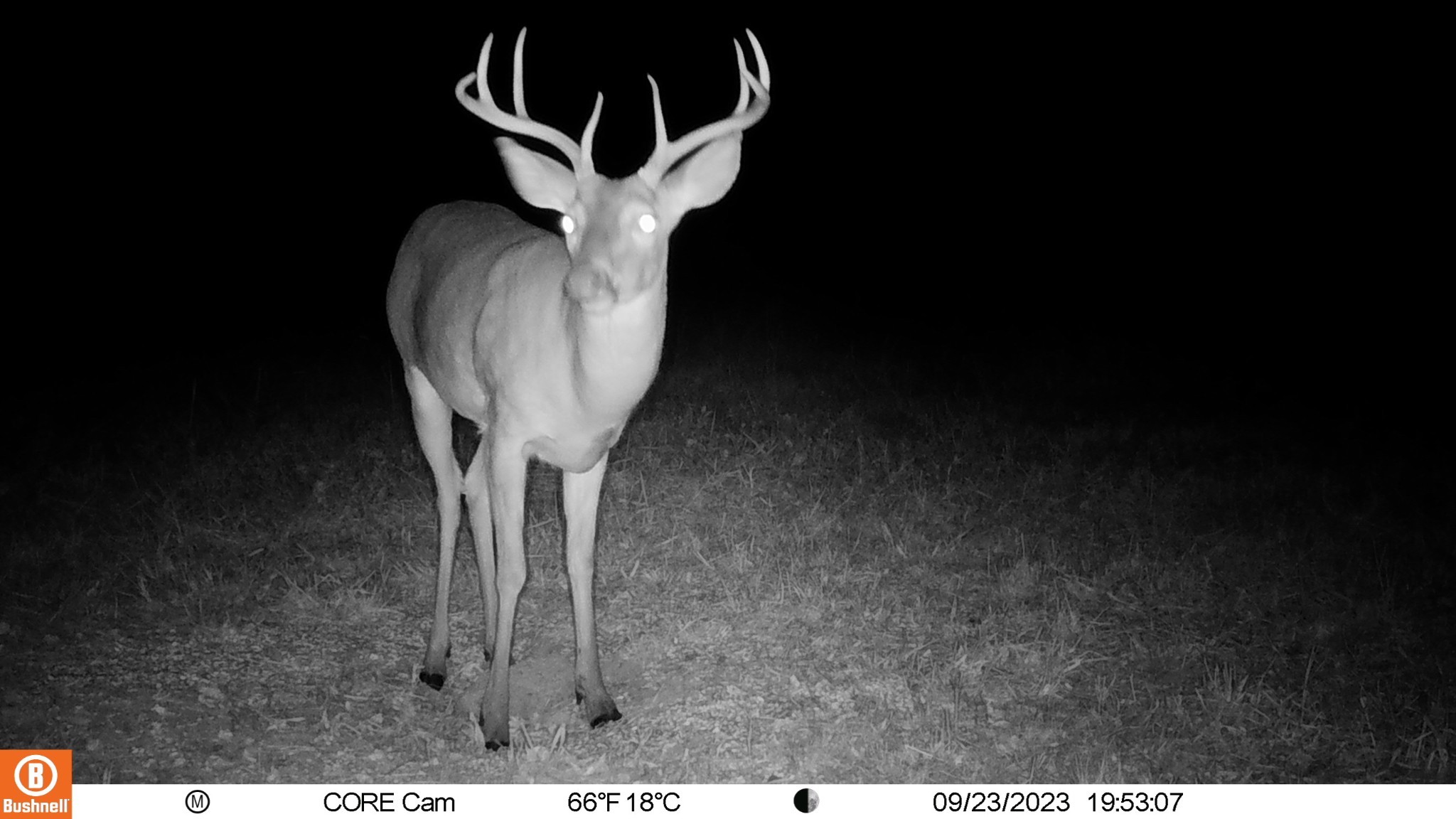 0 Trice Road Lebanon, TN 37087 - Photo 33 of 36 Gallery Image 33