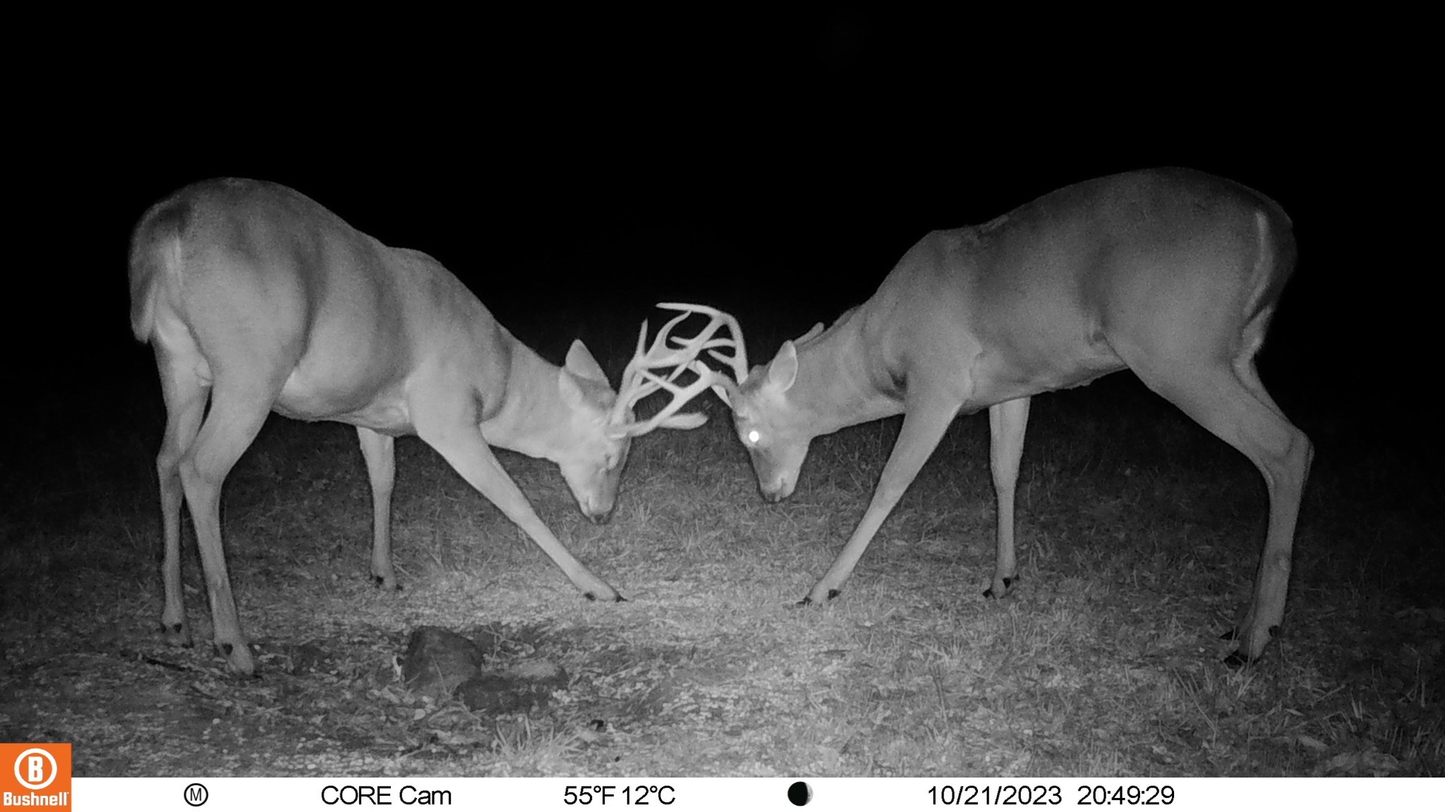 0 Trice Road Lebanon, TN 37087 - Photo 34 of 36 Gallery Image 34
