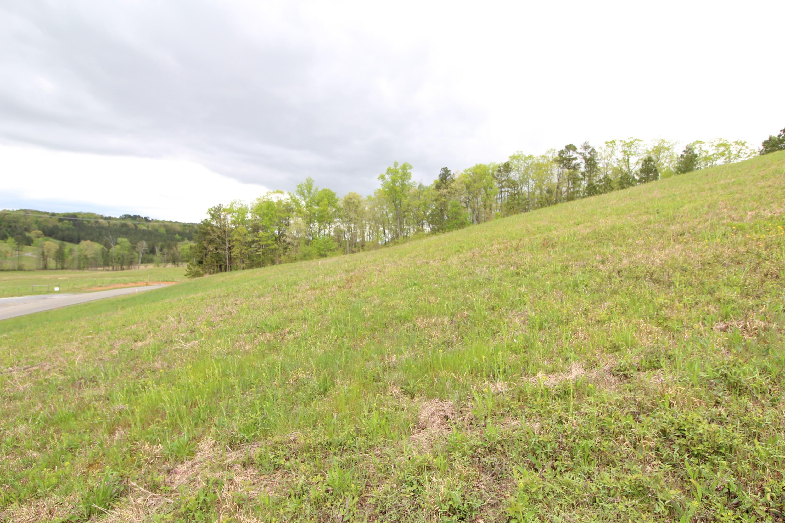 Lot 11 Northwest Van Davis Road Charleston, TN 37310 - Photo 1 of 4 IMG_0420