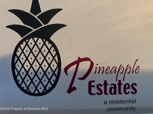 a close up of a plant