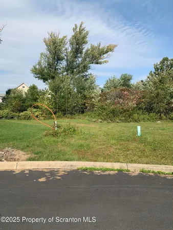 a view of a park