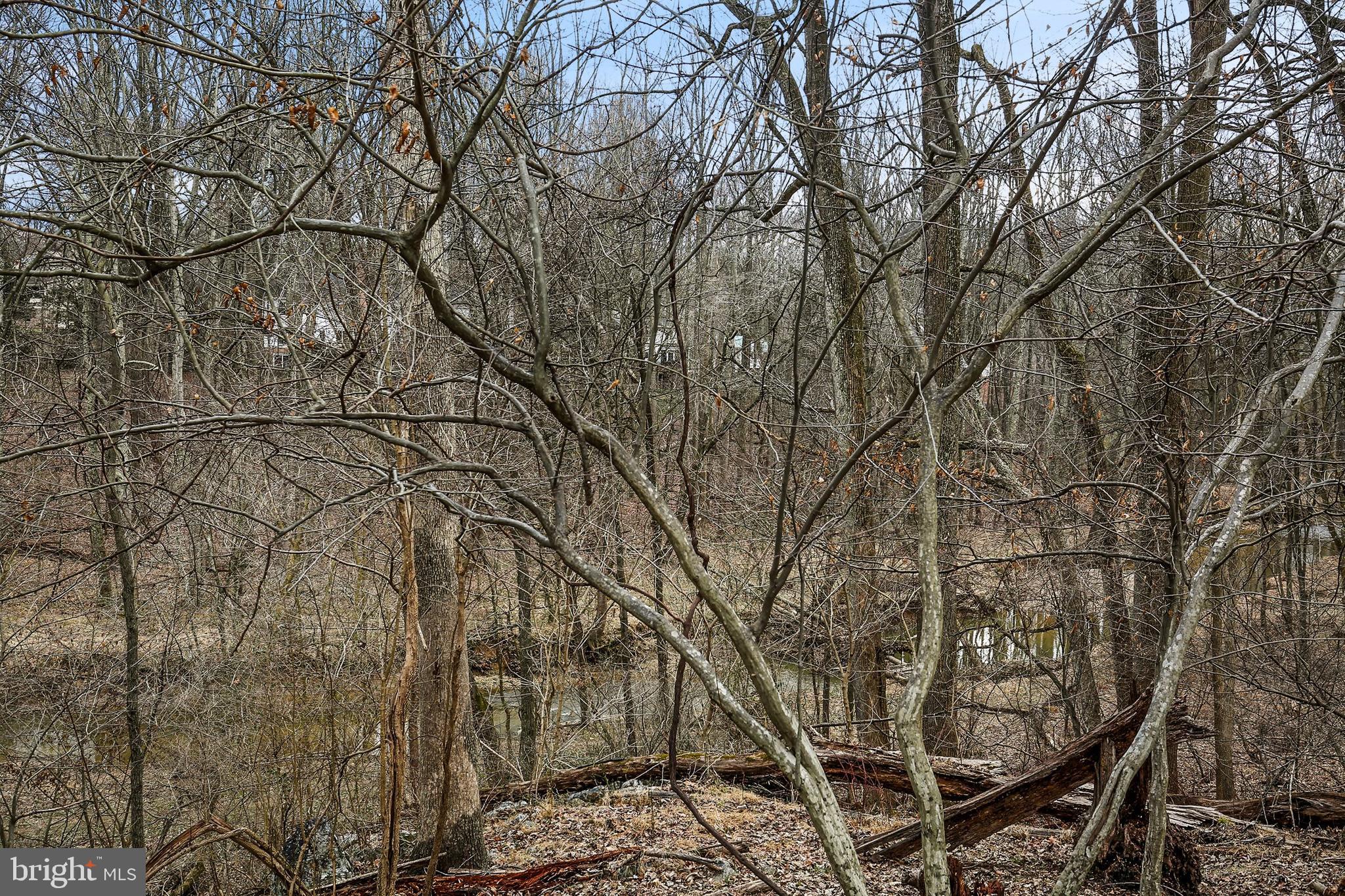 12231 St James Road Potomac, MD 20854 - Photo 35 of 36 Gallery Image 35