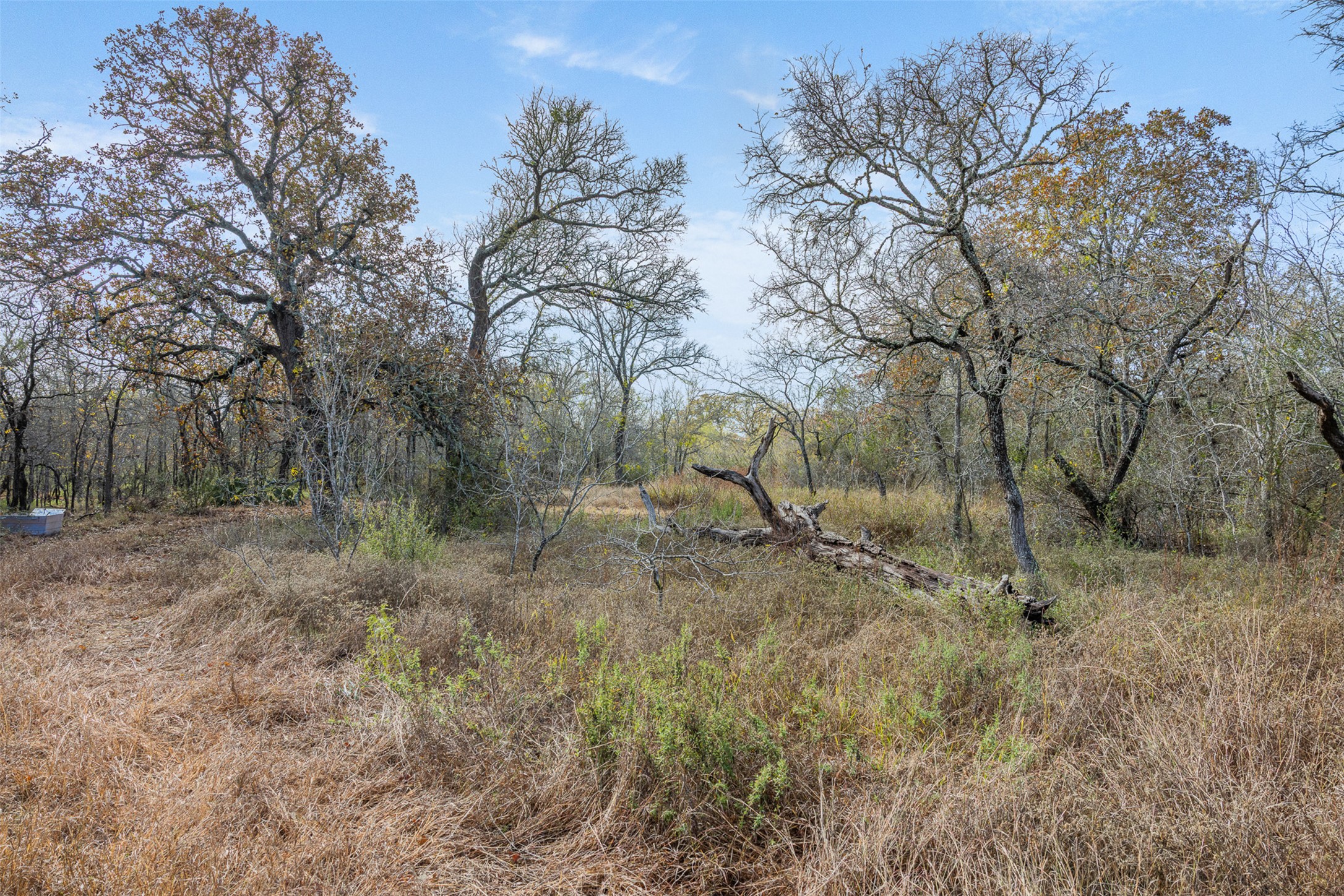 766 Bugtussle Lane Luling, TX 78648 - Photo 2 of 10 a view of a dry yard with trees