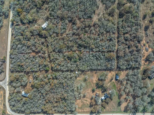 a view of a dry yard in a forest