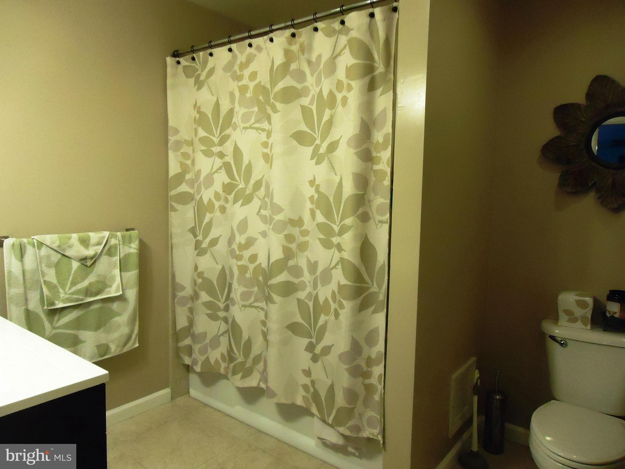 9316 Oak White Road Baltimore, MD 21236 - Photo 15 of 30 Bath (Master)