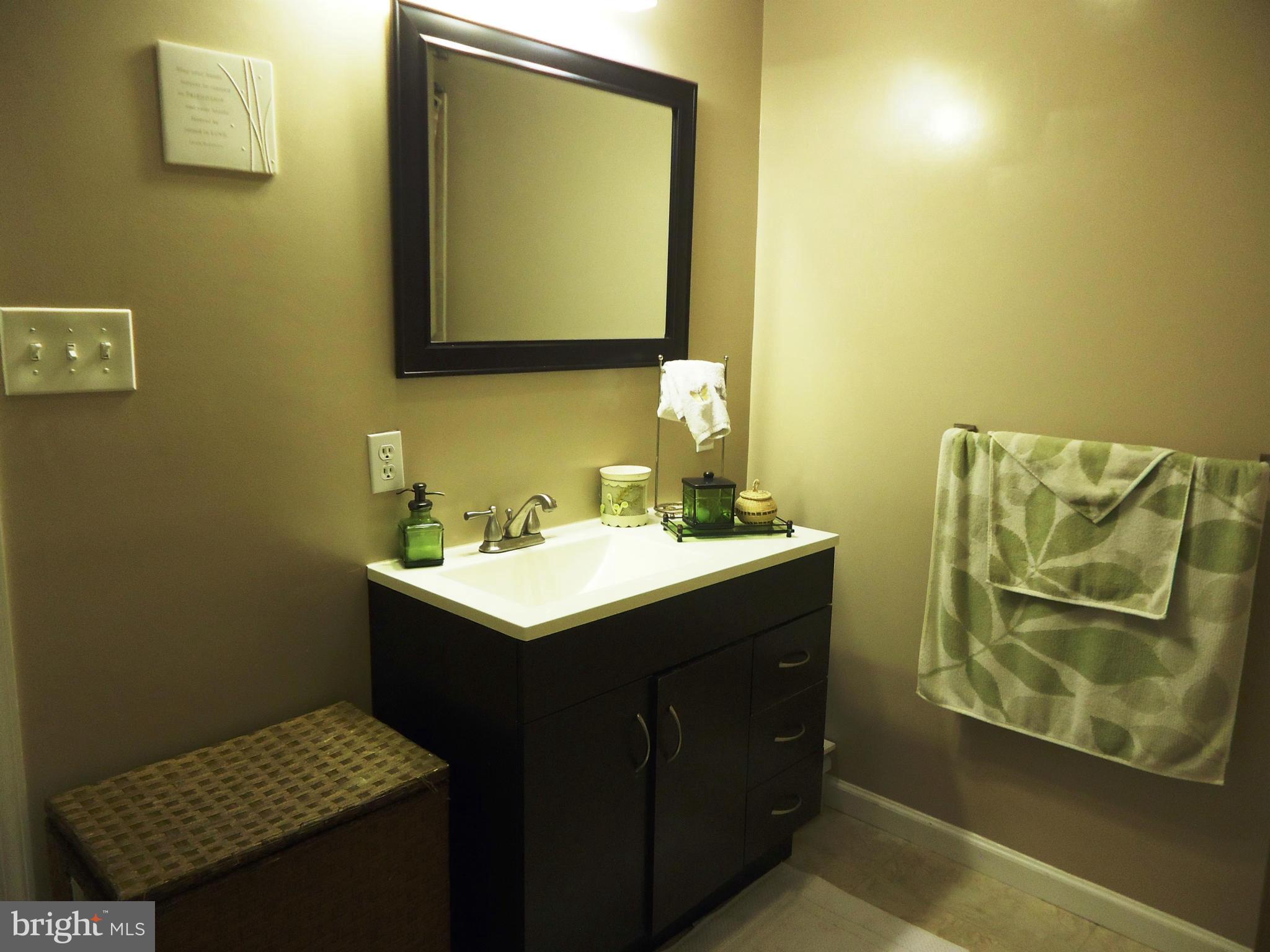 9316 Oak White Road Baltimore, MD 21236 - Photo 16 of 30 Bath (Master)